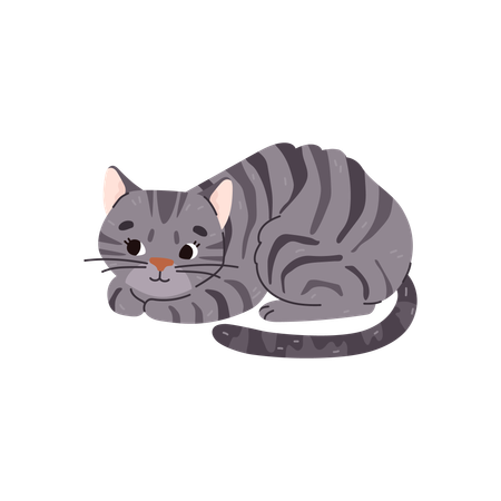 Hauskatze, gestreift, grau  Illustration