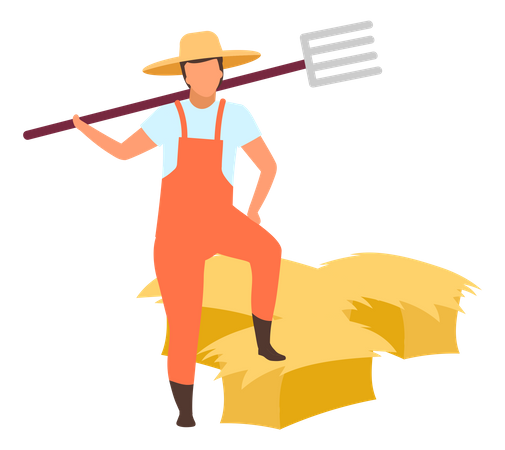 Hay Harvesting  Illustration