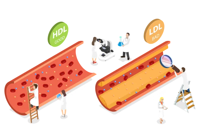 Colesterol HDL x LDL  Ilustração