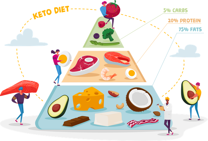 Healthy food flow chart suggested by doctor Illustration