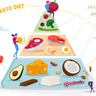 healthy food illustrations