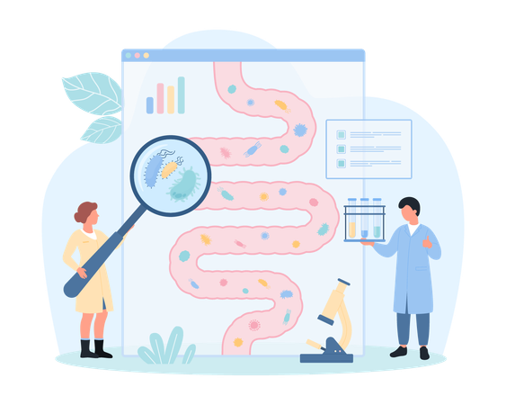 Healthy gut microbiome  Illustration