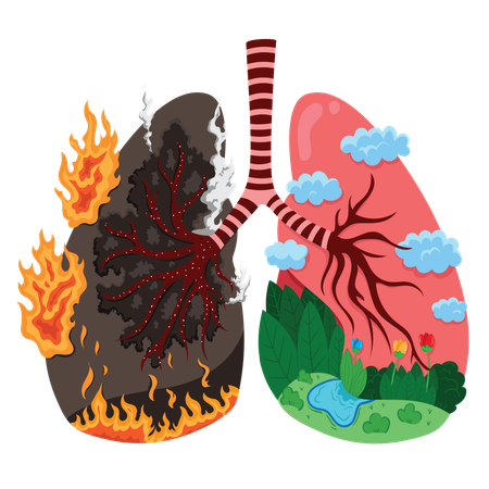 Healthy lungs vs unhealthy lungs  Illustration