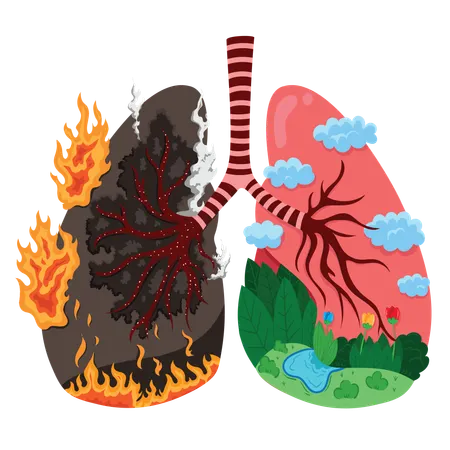 Healthy lungs vs unhealthy lungs  Illustration