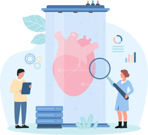 Heart checkup  Illustration