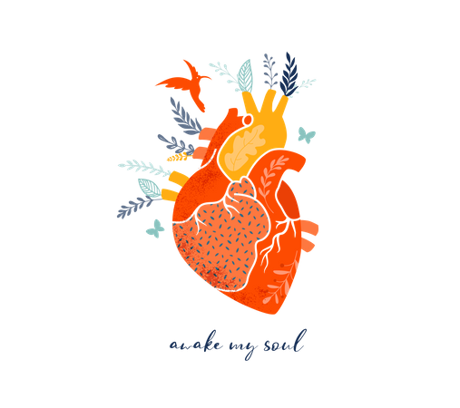 Heart  Illustration