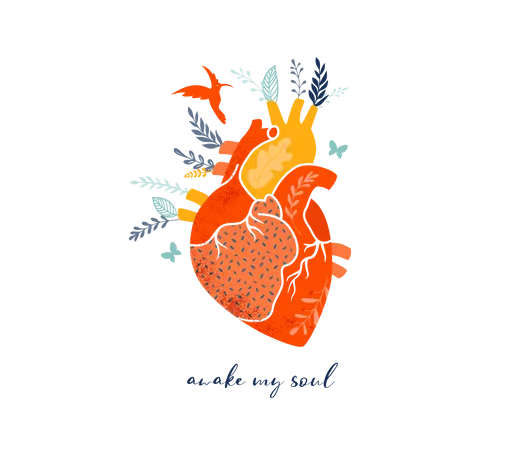 Heart  Illustration