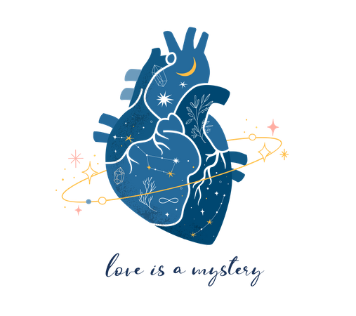 Heart  Illustration
