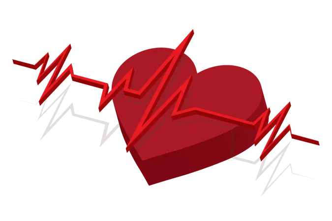 Isometric Heart Shape And 3 D Illustration Heartbeat Line And ECG EKG Signal Set Illustration