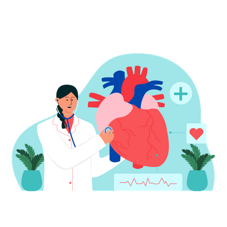 Heart specialist check heart  Illustration