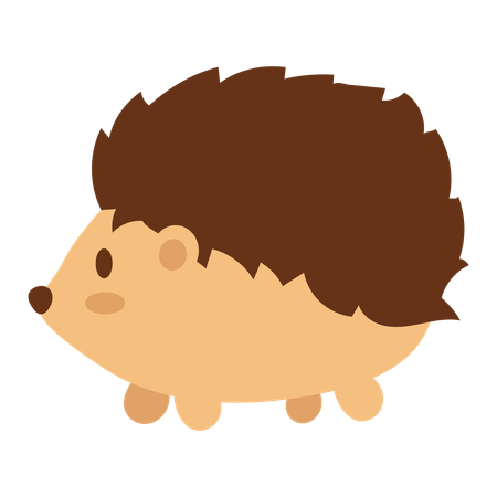 Hedgehog  Illustration