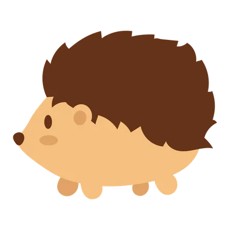 Hedgehog Boy For Baby Animal Illustration