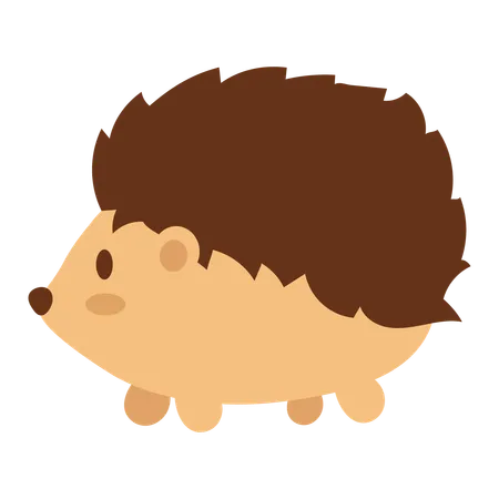 Hedgehog  Illustration