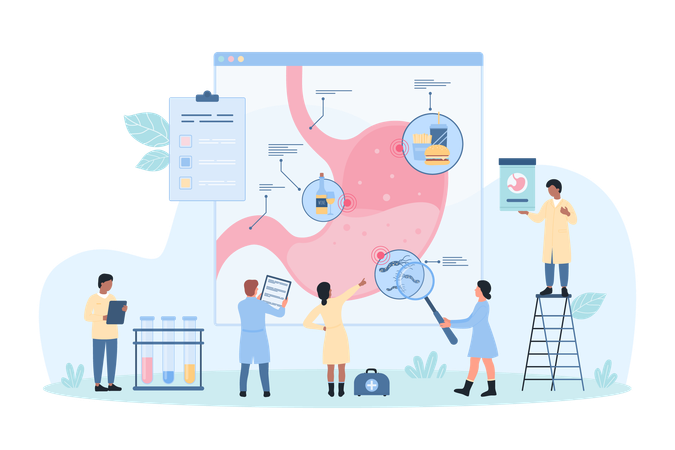 Helicobacter pylori en el estómago  Ilustración
