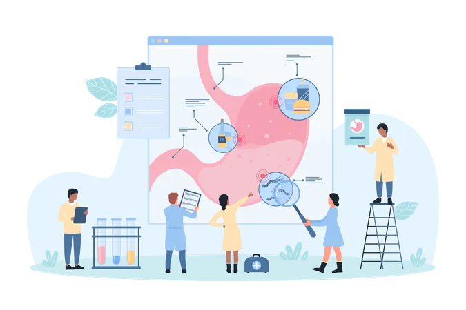 Helicobacter pylori no estômago  Ilustração