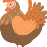 hen images