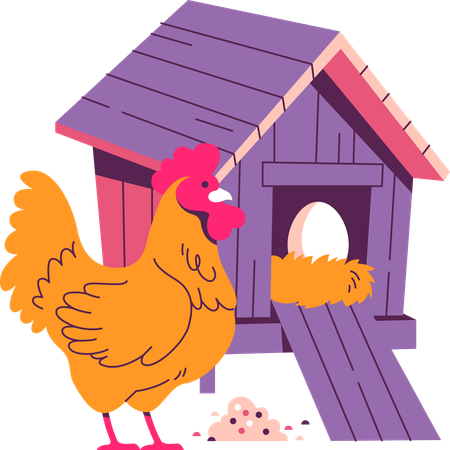 Hen farm  Illustration