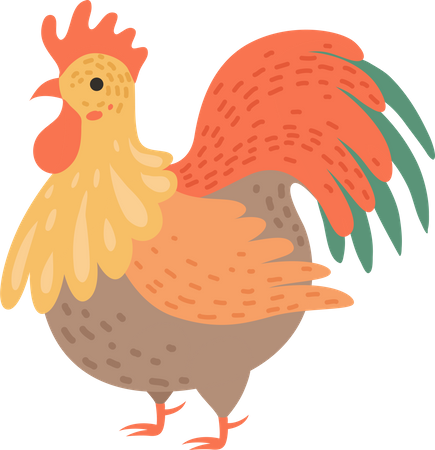 Hen  Illustration