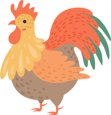 Hen  Illustration