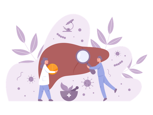 Hepatologie und Gastroenterologie  Illustration