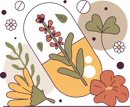 Herbal medicine  Illustration