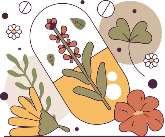 Herbal medicine  Illustration