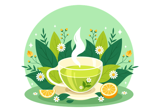 Herbal Tea  Illustration