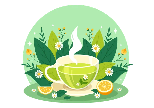 Herbal Tea  Illustration