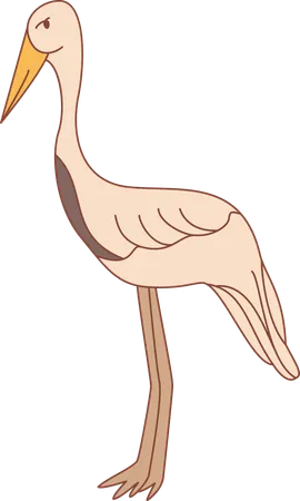 Heron  Illustration
