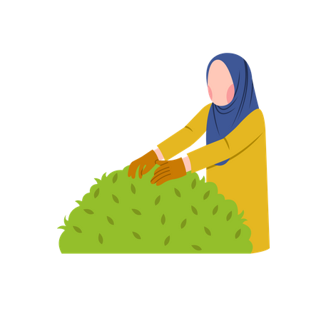 Hijab-Frau pflegt Gartenbusch  Illustration