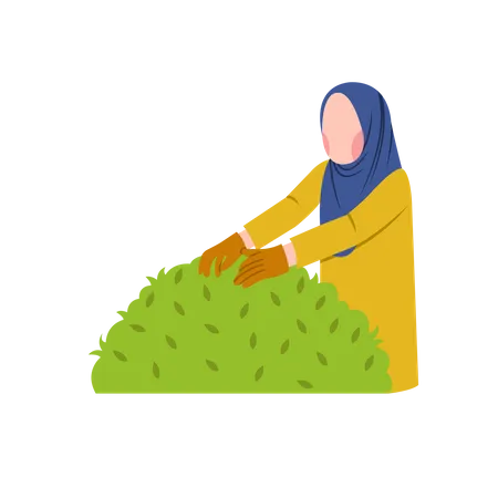 Hijab-Frau pflegt Gartenbusch  Illustration