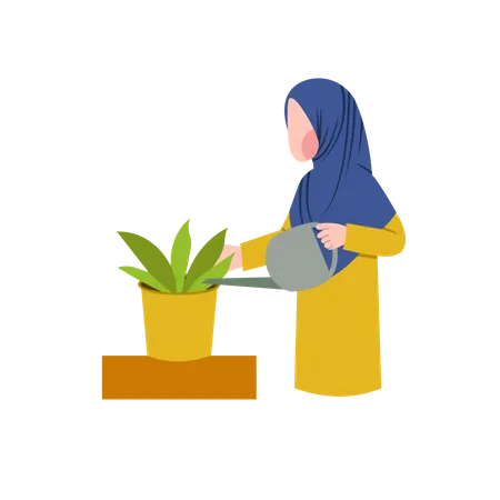 Hijab mujer regar planta  Ilustración