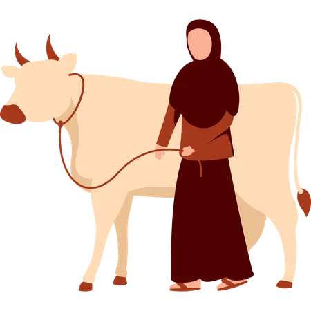 Mulher hijab fica com vaca  Ilustração