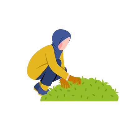Hijab woman gardening Illustration