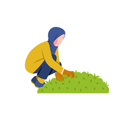 Hijab woman gardening  Illustration