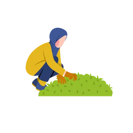 Hijab woman gardening  Illustration