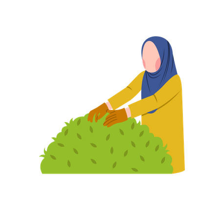 Hijab woman maintain garden bush Illustration