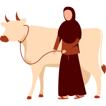 Hijab Woman Stand with Cow  Illustration