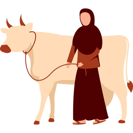 Hijab Woman Stand With Cow Illustration