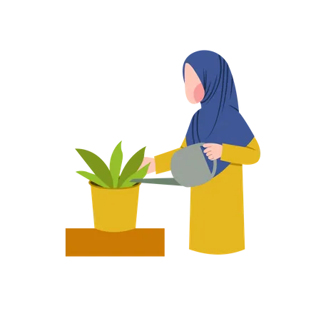 Hijab woman watering plant Illustration