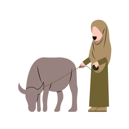 Hijab Woman With Buffalo  Illustration