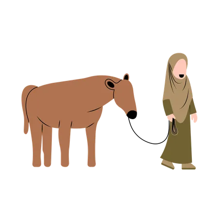 Hijab Woman With Cow  Illustration