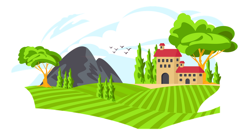 Hilly Area  Illustration