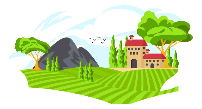 Hilly Area  Illustration