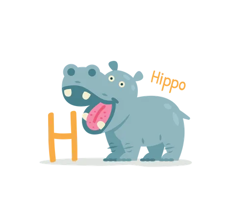 Hippo  Illustration