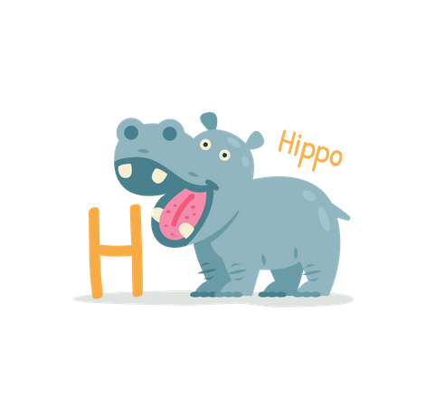 Hippo  Illustration