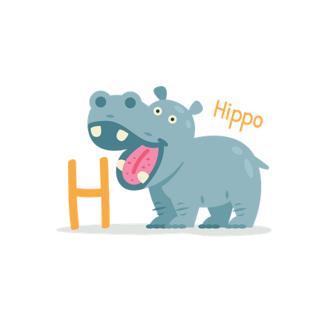 Hippo  Illustration