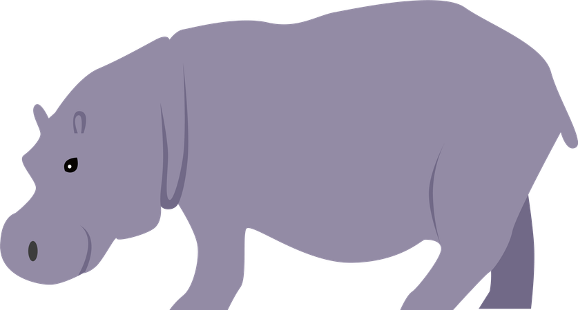 Hippopotame  Illustration