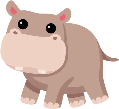 Hippopotame  Illustration