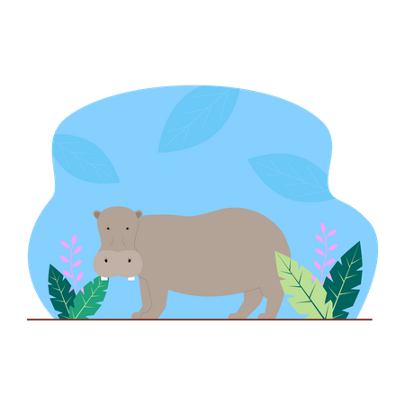 Hippopotame  Illustration